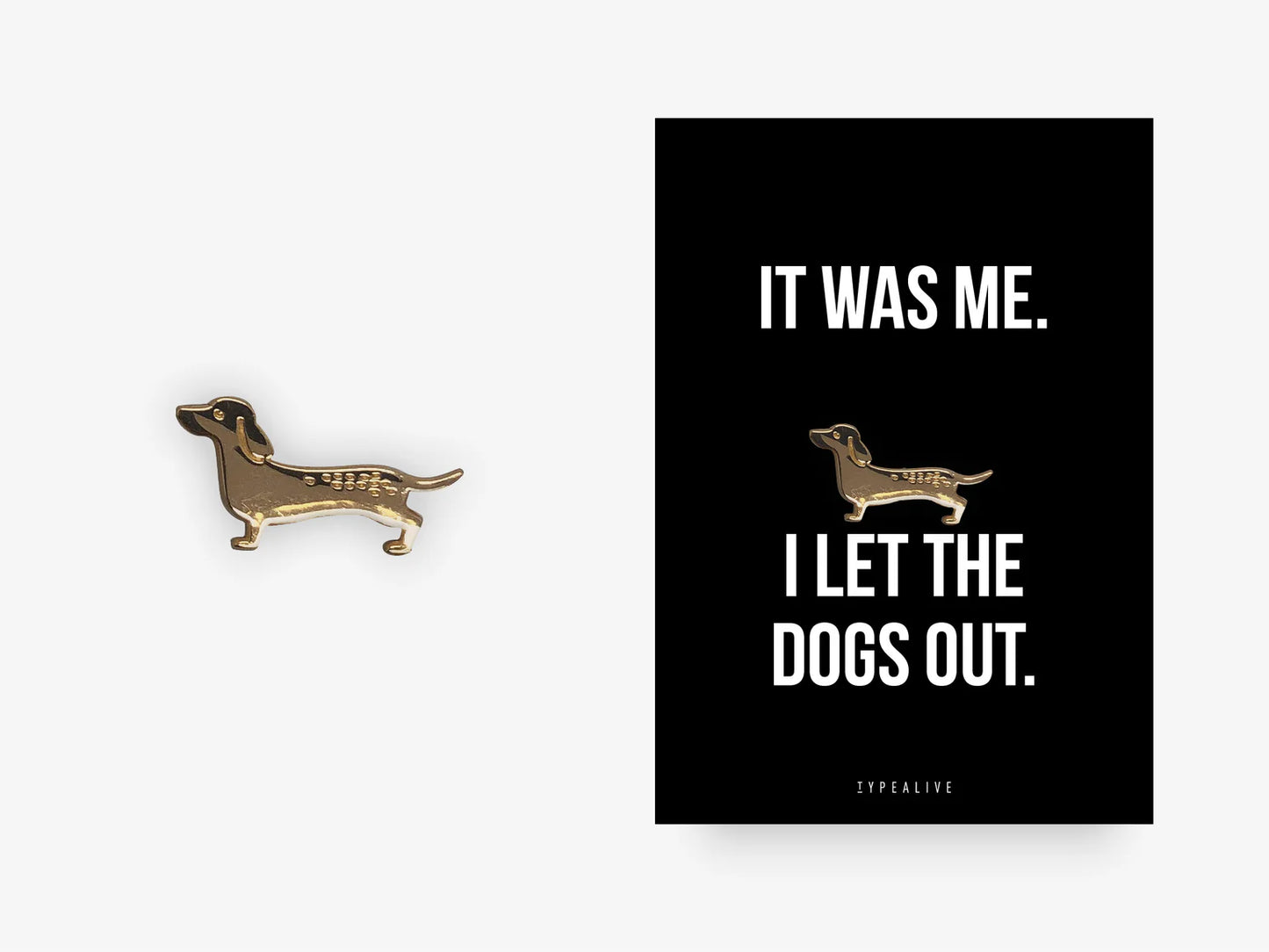 Pin / It Was Me / Dackel