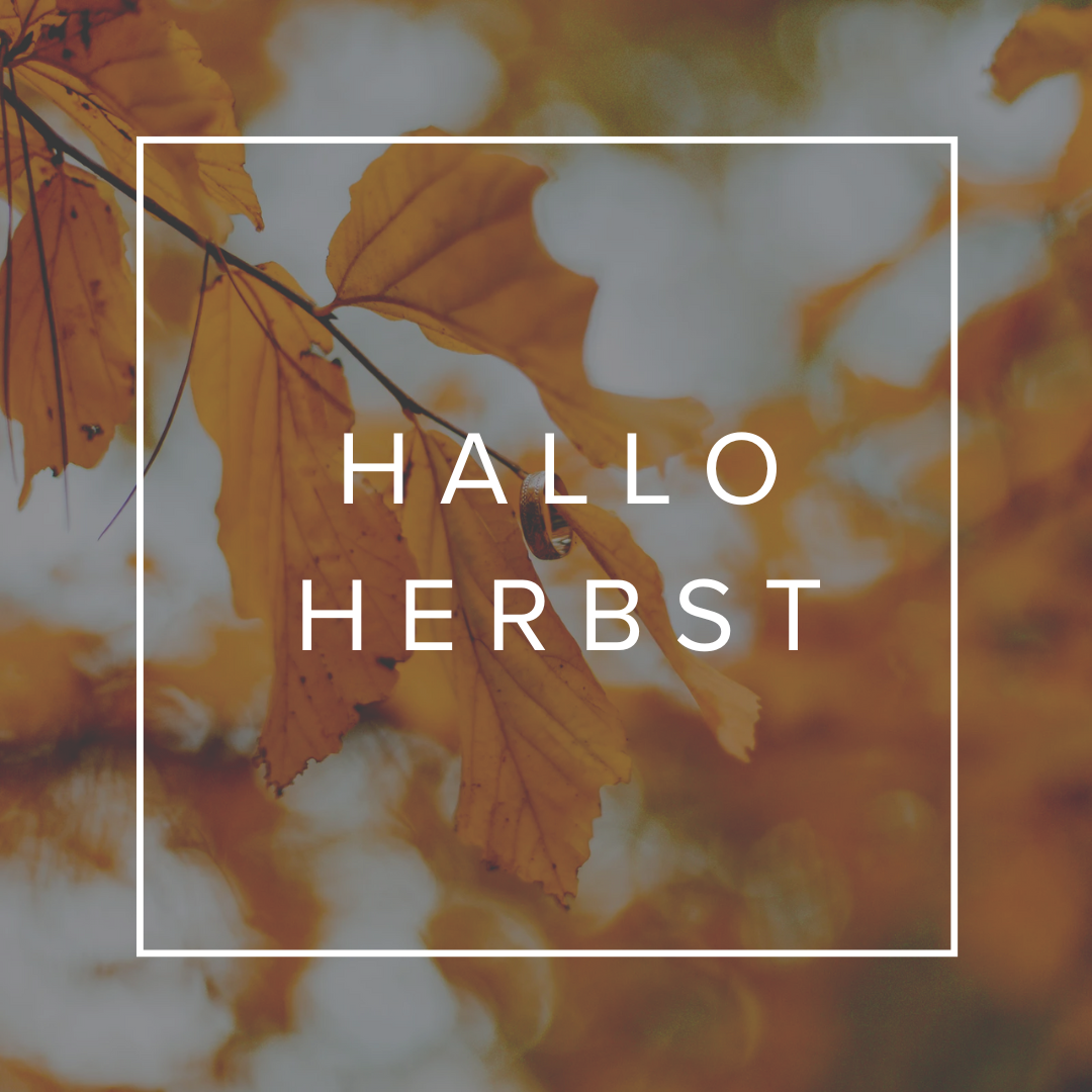HERBST-KOLLEKTION 🍂