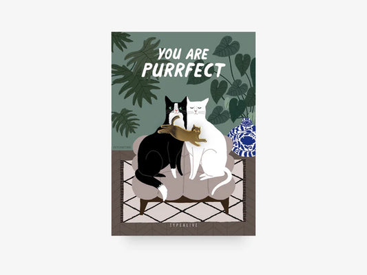 Pin / You Are Purrfect 🐈‍⬛ - CousinClay